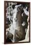 Italy. Rome. Fontana Di Trevi. 18th Century. Sea Horse-null-Framed Giclee Print