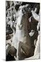 Italy. Rome. Fontana Di Trevi. 18th Century. Sea Horse-null-Mounted Giclee Print