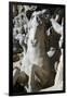 Italy. Rome. Fontana Di Trevi. 18th Century. Sea Horse-null-Framed Premium Giclee Print