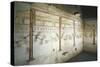 Italy, Rome, Palatine Hill Wall Decoration in Room of the Pine Garlands at House of Augustus-null-Stretched Canvas