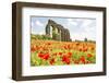 Italy, Rome. Parco Regionale dell'Appia, Antica, Park of the Aqueducts-Alison Jones-Framed Photographic Print