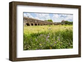 Italy, Rome. Parco Regionale dell'Appia, Antica, Park of the Aqueducts-Alison Jones-Framed Photographic Print