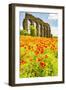 Italy, Rome. Parco Regionale dell'Appia, Antica, Park of the Aqueducts-Alison Jones-Framed Photographic Print