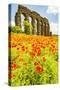 Italy, Rome. Parco Regionale dell'Appia, Antica, Park of the Aqueducts-Alison Jones-Stretched Canvas