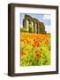 Italy, Rome. Parco Regionale dell'Appia, Antica, Park of the Aqueducts-Alison Jones-Framed Photographic Print