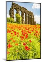 Italy, Rome. Parco Regionale dell'Appia, Antica, Park of the Aqueducts-Alison Jones-Mounted Photographic Print