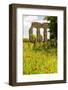 Italy, Rome. Parco Regionale dell'Appia, Antica, Park of the Aqueducts-Alison Jones-Framed Photographic Print