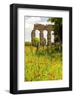 Italy, Rome. Parco Regionale dell'Appia, Antica, Park of the Aqueducts-Alison Jones-Framed Photographic Print