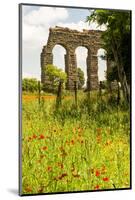 Italy, Rome. Parco Regionale dell'Appia, Antica, Park of the Aqueducts-Alison Jones-Mounted Photographic Print