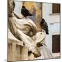 Italy, Rome. Piazza della Rotunda, close-up of Fontana del Pantheon.-Alison Jones-Mounted Photographic Print