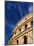 Italy, Rome, Roman Coliseum-Miva Stock-Mounted Photographic Print