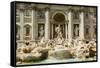 Italy, Rome. The Trevi Fountain, designed by Nicola Salvi. Aqua Virgo, 'Ocean'-Alison Jones-Framed Stretched Canvas