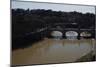 Italy. Rome. Tiber River from Castel Sant'Angelo-null-Mounted Giclee Print