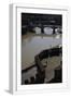 White Frame