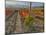 Italy, San Quirico, Autumn Vineyard in full color, San Quirico-Terry Eggers-Mounted Photographic Print