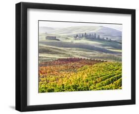 Italy, San Quirico, Autumn Vineyards, San Quirico-Terry Eggers-Framed Photographic Print