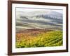 Italy, San Quirico, Autumn Vineyards, San Quirico-Terry Eggers-Framed Photographic Print