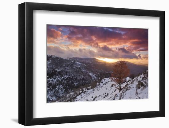 Italy, Sardinia, a Spectacular Sunset Illuminates a Lonely Tree in the Mountain Range-Alessandro Carboni-Framed Photographic Print