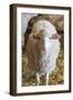 Italy, Sardinia, Gavoi. Sheep Inside a Hay Filled Barn-Alida Latham-Framed Photographic Print