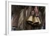 Italy, Sardinia, Mamoiada. Close-Up of the Metal Bells on a Traditional Pagan Mamuthone Costume-Alida Latham-Framed Photographic Print