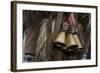 Italy, Sardinia, Mamoiada. Close-Up of the Metal Bells on a Traditional Pagan Mamuthone Costume-Alida Latham-Framed Photographic Print