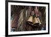 Italy, Sardinia, Mamoiada. Close-Up of the Metal Bells on a Traditional Pagan Mamuthone Costume-Alida Latham-Framed Photographic Print