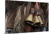 Italy, Sardinia, Mamoiada. Close-Up of the Metal Bells on a Traditional Pagan Mamuthone Costume-Alida Latham-Mounted Photographic Print