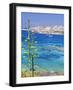 Italy, Sardinia, Olbia-Tempio District, Arcipelago 'La Maddalena' National Park, La Maddalena-Francesco Iacobelli-Framed Photographic Print