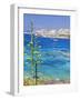 Italy, Sardinia, Olbia-Tempio District, Arcipelago 'La Maddalena' National Park, La Maddalena-Francesco Iacobelli-Framed Photographic Print