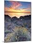 Italy, Sardinia, Olbia-Tempio District, Budoni, Coastline-Francesco Iacobelli-Mounted Photographic Print