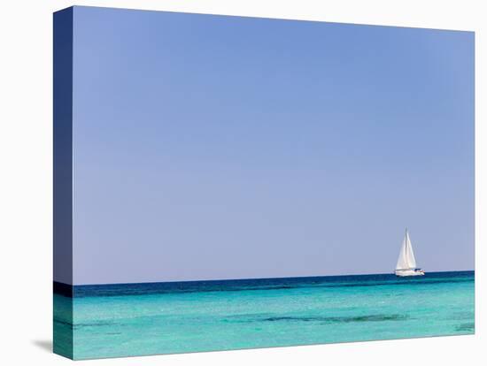Italy, Sardinia, Olbia-Tempo, Berchidda, a Sailing Boat Out at Sea-Nick Ledger-Stretched Canvas