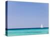 Italy, Sardinia, Olbia-Tempo, Berchidda, a Sailing Boat Out at Sea-Nick Ledger-Stretched Canvas