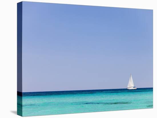 Italy, Sardinia, Olbia-Tempo, Berchidda, a Sailing Boat Out at Sea-Nick Ledger-Stretched Canvas