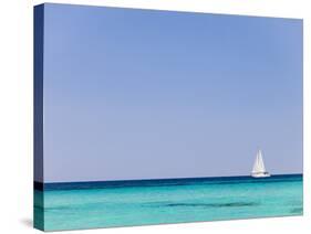 Italy, Sardinia, Olbia-Tempo, Berchidda, a Sailing Boat Out at Sea-Nick Ledger-Stretched Canvas