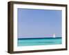 Italy, Sardinia, Olbia-Tempo, Berchidda, a Sailing Boat Out at Sea-Nick Ledger-Framed Photographic Print