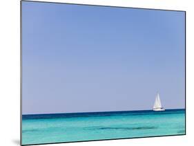 Italy, Sardinia, Olbia-Tempo, Berchidda, a Sailing Boat Out at Sea-Nick Ledger-Mounted Photographic Print