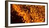 Italy, Sardinia, Ovodda. Off Focus Fire and Glowing Embers-Alida Latham-Framed Photographic Print