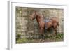 Italy, Sardinia, Santu Lussurgiu. a Horse Waiting for it's Rider at the Carrela E Nanti Festival-Alida Latham-Framed Photographic Print