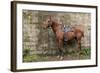 Italy, Sardinia, Santu Lussurgiu. a Horse Waiting for it's Rider at the Carrela E Nanti Festival-Alida Latham-Framed Photographic Print