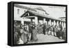 Italy, Sassari, Vegetable Market, Photograph-null-Framed Stretched Canvas