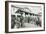 Italy, Sassari, Vegetable Market, Photograph-null-Framed Giclee Print