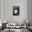 Italy - Sassolino Liquore da Dessert Promotional Poster-Lantern Press-Framed Stretched Canvas displayed on a wall