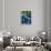 Italy, Satellite Image-PLANETOBSERVER-Framed Photographic Print displayed on a wall