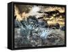 Italy, Sicily, Agrigento. Ruins of ancient Agrigento-Terry Eggers-Framed Stretched Canvas