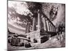 Italy, Sicily, Agrigento. Ruins of ancient Agrigento-Terry Eggers-Mounted Photographic Print