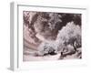 Italy, Sicily, Agrigento. Trees on the grounds of ancient Agrigento-Terry Eggers-Framed Photographic Print