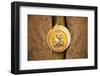 Italy, Sicily, Enna. Medallion Worn by the Respective Brotherhood During Holy Week Ceremonies.-Ken Scicluna-Framed Photographic Print