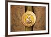 Italy, Sicily, Enna. Medallion Worn by the Respective Brotherhood During Holy Week Ceremonies.-Ken Scicluna-Framed Photographic Print