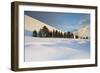 Italy, Sicily, Mt. Etna, Trees at the Base of Sartorius Crater after a Heavy Snowfall-Salvo Orlando-Framed Photographic Print