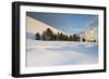 Italy, Sicily, Mt. Etna, Trees at the Base of Sartorius Crater after a Heavy Snowfall-Salvo Orlando-Framed Photographic Print